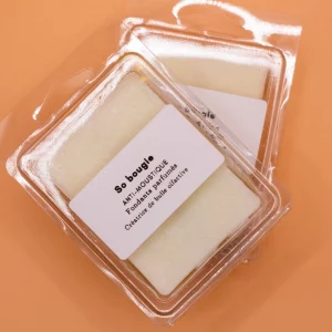 Fondant anti-moustique